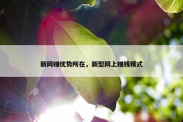 新网赚优势所在，新型网上赚钱模式