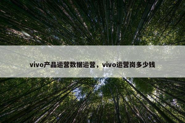 vivo产品运营数据运营，vivo运营岗多少钱