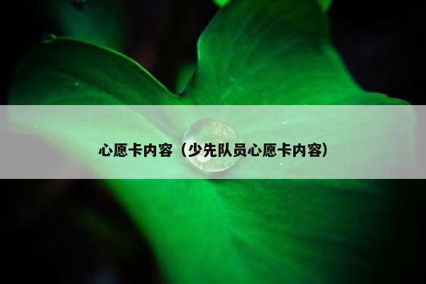 心愿卡内容（少先队员心愿卡内容）
