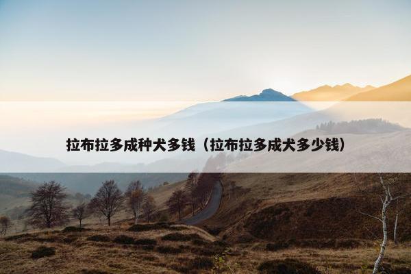 拉布拉多成种犬多钱（拉布拉多成犬多少钱）