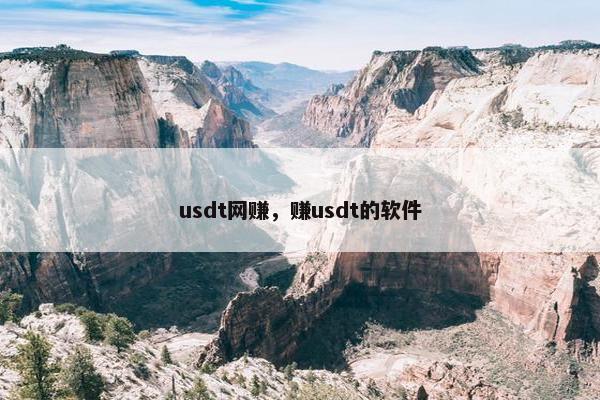 usdt网赚，赚usdt的软件