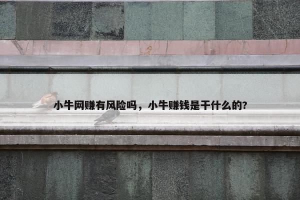 小牛网赚有风险吗，小牛赚钱是干什么的?