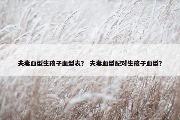 夫妻血型生孩子血型表？ 夫妻血型配对生孩子血型？