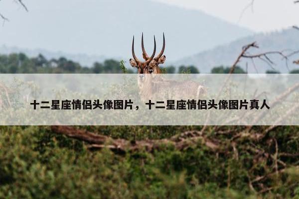 十二星座情侣头像图片，十二星座情侣头像图片真人