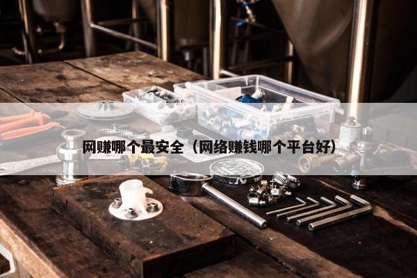 网赚哪个最安全（网络赚钱哪个平台好）