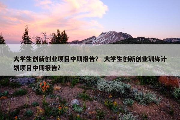 大学生创新创业项目中期报告？ 大学生创新创业训练计划项目中期报告？