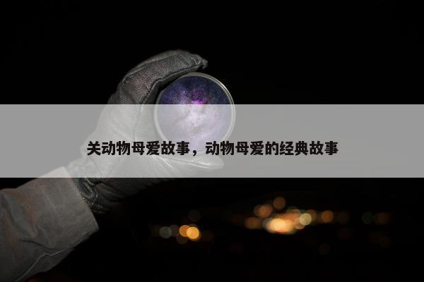 关动物母爱故事，动物母爱的经典故事