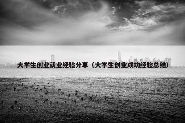 大学生创业就业经验分享(大学生创业成功经验总结)