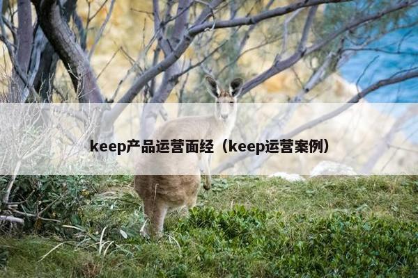 keep产品运营面经（keep运营案例）