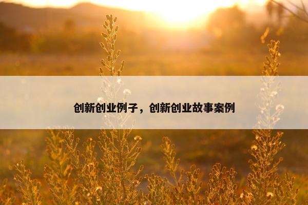创新创业例子，创新创业故事案例