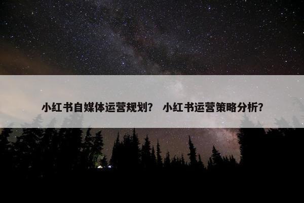 小红书自媒体运营规划？ 小红书运营策略分析？