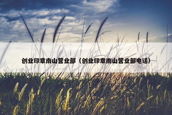 创业印章南山营业部（创业印章南山营业部电话）