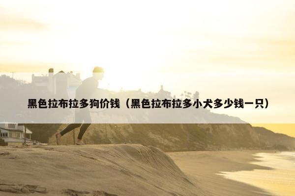 黑色拉布拉多狗价钱（黑色拉布拉多小犬多少钱一只）