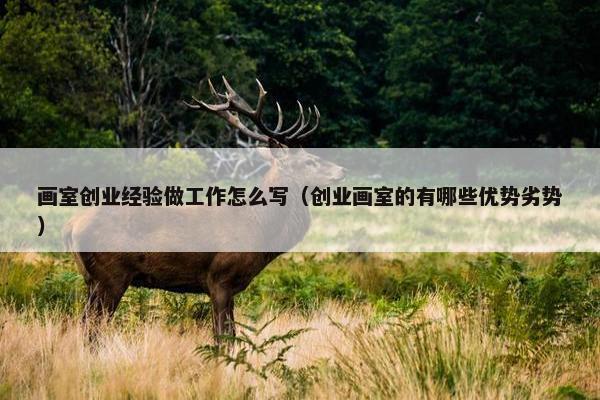 画室创业经验做工作怎么写(创业画室的有哪些优势劣势)
