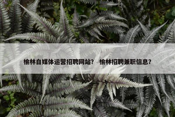 榆林自媒体运营招聘网站？ 榆林招聘兼职信息？