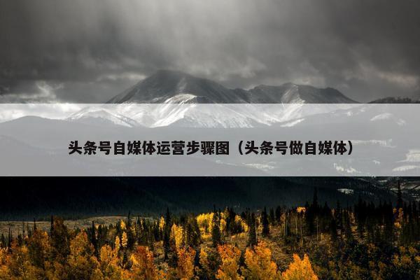 头条号自媒体运营步骤图(头条号做自媒体)