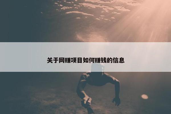 关于网赚项目如何赚钱的信息