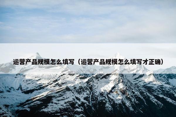 运营产品规模怎么填写(运营产品规模怎么填写才正确)