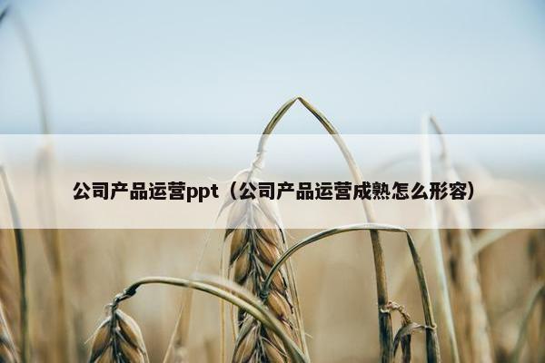 公司产品运营ppt（公司产品运营成熟怎么形容）