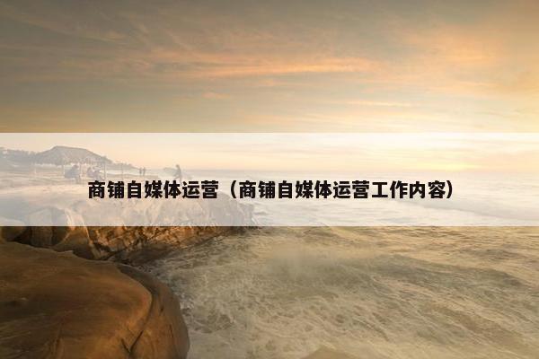 商铺自媒体运营（商铺自媒体运营工作内容）