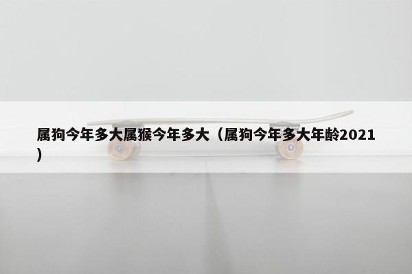 属狗今年多大属猴今年多大(属狗今年多大年龄2021)