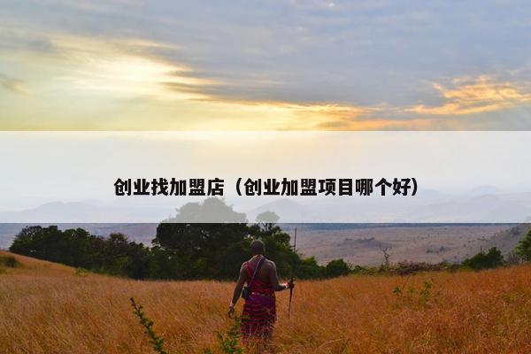 创业找加盟店(创业加盟项目哪个好)