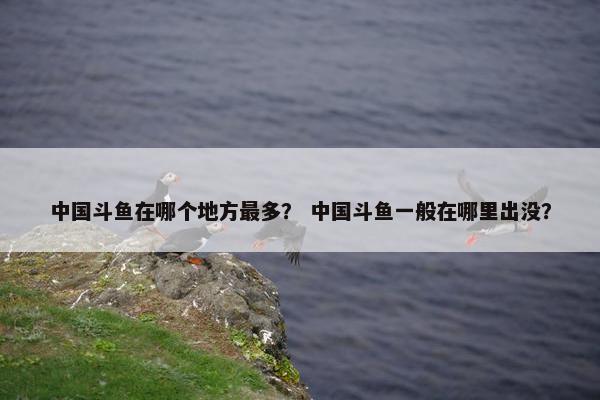 中国斗鱼在哪个地方最多? 中国斗鱼一般在哪里出没?
