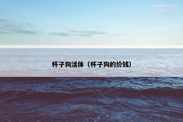 杯子狗活体(杯子狗的价钱)