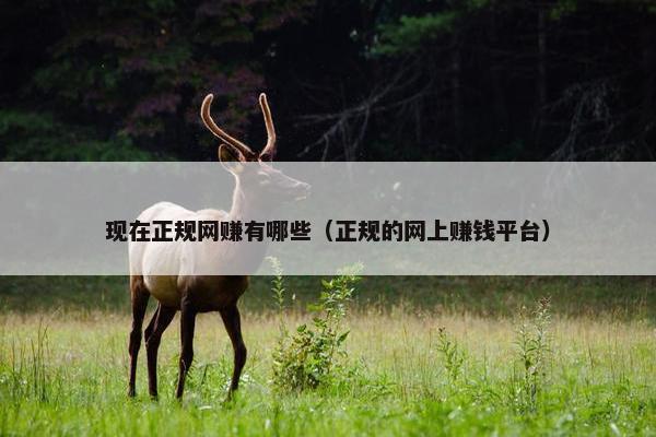 现在正规网赚有哪些（正规的网上赚钱平台）