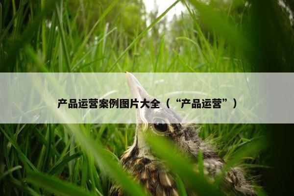 产品运营案例图片大全（“产品运营”）