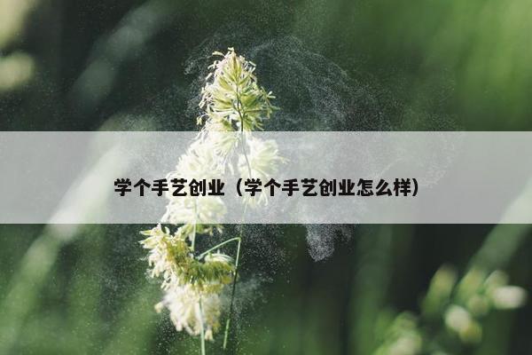 学个手艺创业（学个手艺创业怎么样）