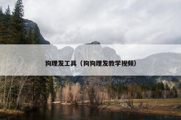 狗理发工具（狗狗理发教学视频）