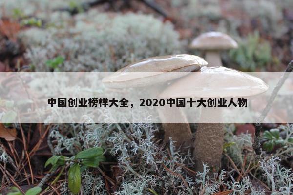 中国创业榜样大全，2020中国十大创业人物