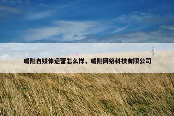 暖阳自媒体运营怎么样，暖阳网络科技有限公司