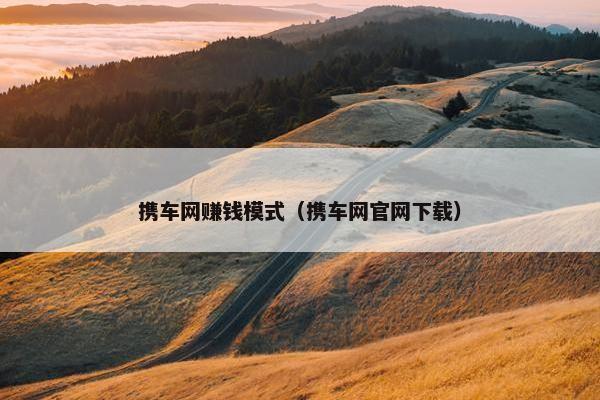 携车网赚钱模式（携车网官网下载）