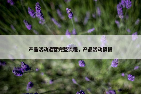 产品活动运营完整流程,产品活动模板