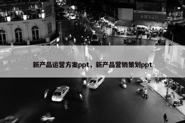新产品运营方案ppt,新产品营销策划ppt