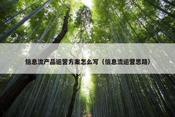 信息流产品运营方案怎么写（信息流运营思路）