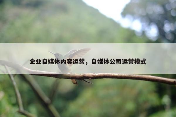 企业自媒体内容运营，自媒体公司运营模式