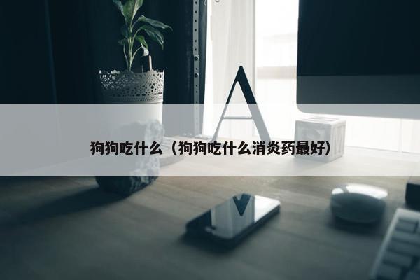 狗狗吃什么（狗狗吃什么消炎药最好）