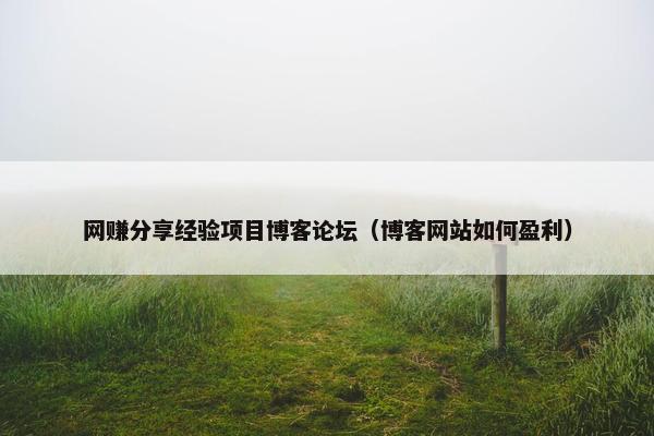 网赚分享经验项目博客论坛（博客网站如何盈利）