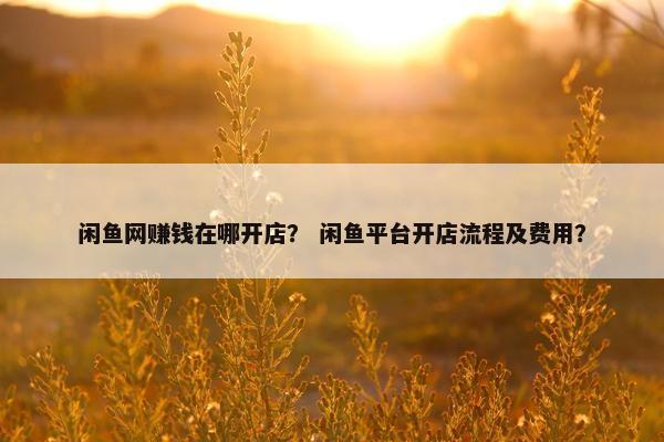 闲鱼网赚钱在哪开店？ 闲鱼平台开店流程及费用？