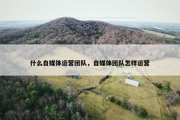 什么自媒体运营团队，自媒体团队怎样运营