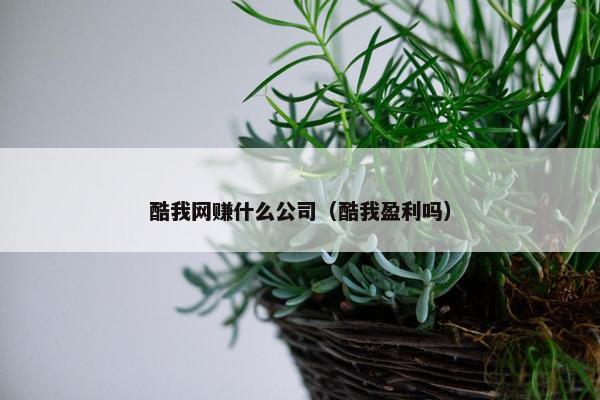 酷我网赚什么公司（酷我盈利吗）