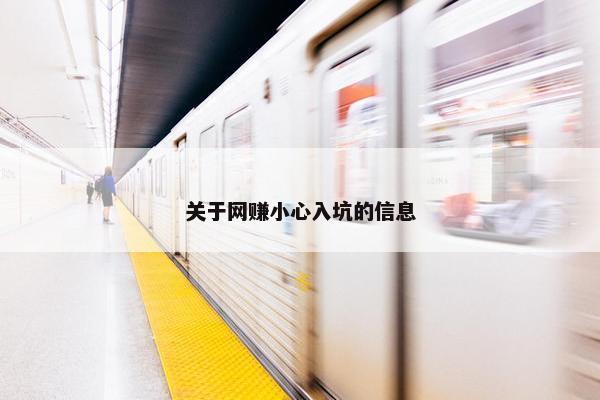 关于网赚小心入坑的信息