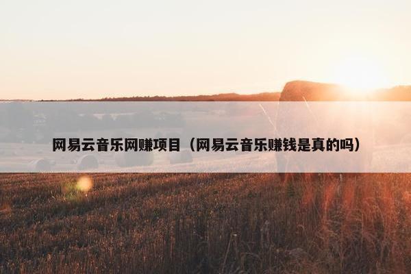 网易云音乐网赚项目（网易云音乐赚钱是真的吗）
