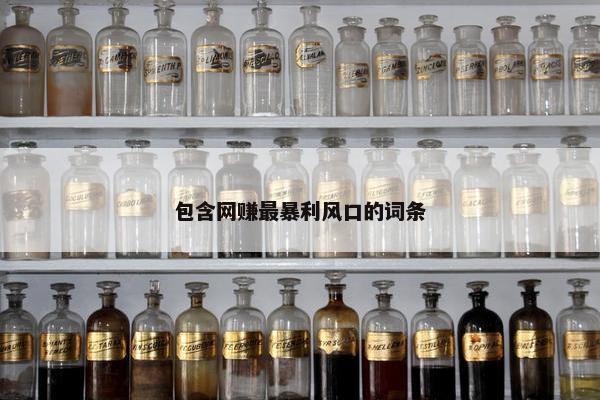 包含网赚最暴利风口的词条