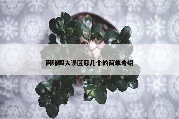 网赚四大误区哪几个的简单介绍