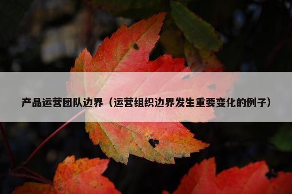 产品运营团队边界（运营组织边界发生重要变化的例子）