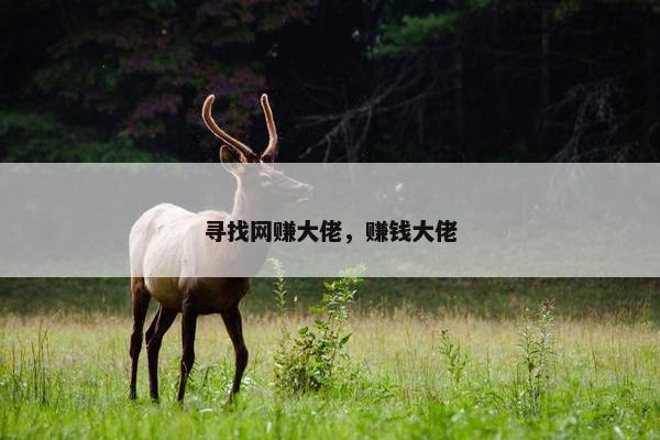 寻找网赚大佬，赚钱大佬